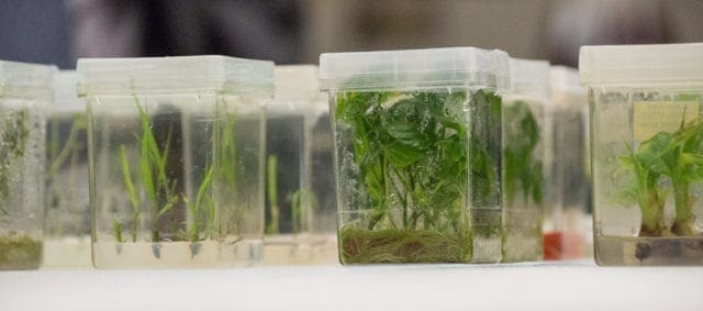 选择最适合实验室使用的TOMY高压灭菌器